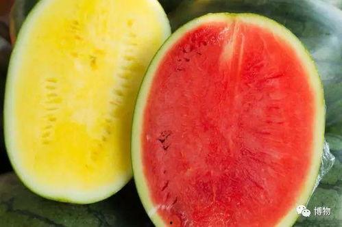 吃里面的瓤的瓜,揭秘吃瓤瓜的独特魅力