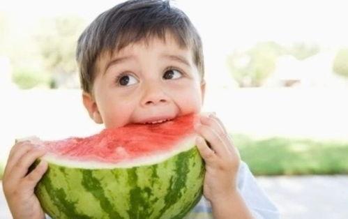 借个瓜吃,邻里间的温馨互动与生活智慧