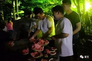 广州学院吃瓜事件,校园风波背后的真相与反思