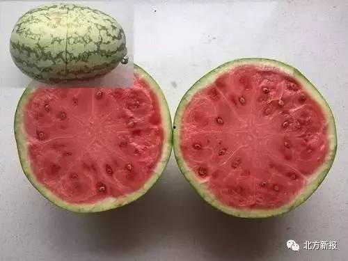 假情侣吃瓜,吃瓜群众笑翻天