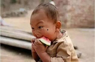 学霸反差吃瓜,揭秘吃瓜群众的趣味生活