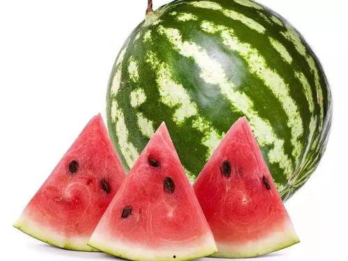 51吃瓜今日吃瓜必吃莫莉秀大瓜