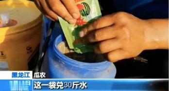 吃瓜爆料临沂,揭秘当地热点事件背后的真相