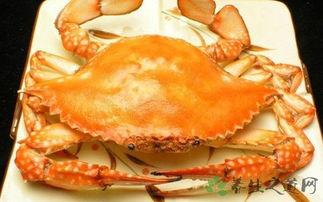 飞蟹吃完吃瓜,品味瓜果的清新滋味