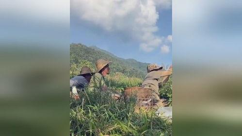 村口大妈吃瓜现场,揭秘乡村生活百态