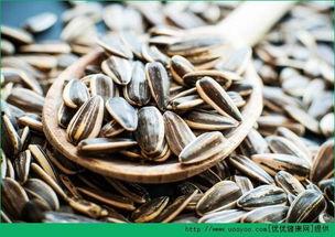 吃瓜吃瓜子会不会,吃瓜与吃瓜子的趣味探索